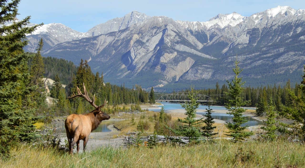 Canada's Wild, Wild West: Things to See and Do in Alberta