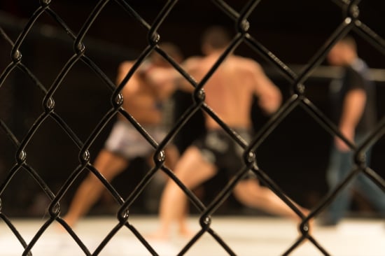 Step Into The Ring For This Mixed Martial Arts Quiz
