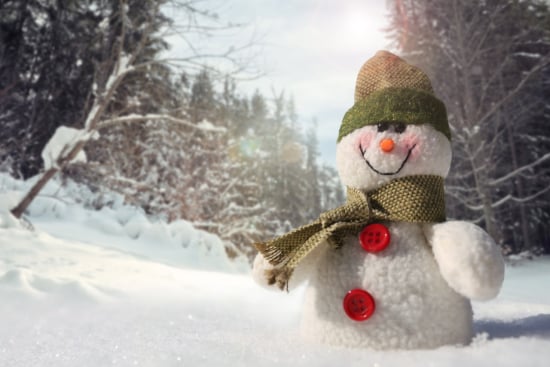 Frosty The Snowman Quiz