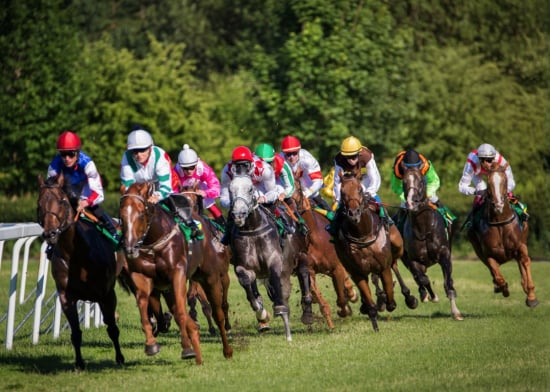 Secretariat, Seattle Slew, & Affirmed: The 2023 Horse Racing Quiz