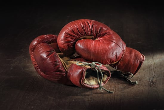 The Beast, The Prince, and The White Buffalo: Professional Boxing Champions Nationalities