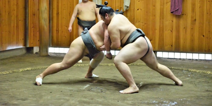 Fat Guys in Diapers Fighting: Sumo Wrestling Trivia