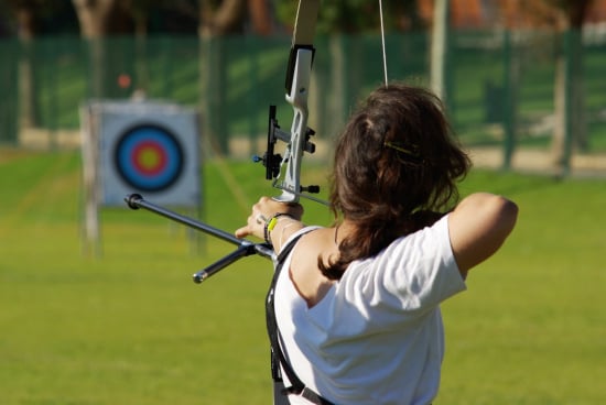 Mastering the Bow: An Archery Knowledge Challenge