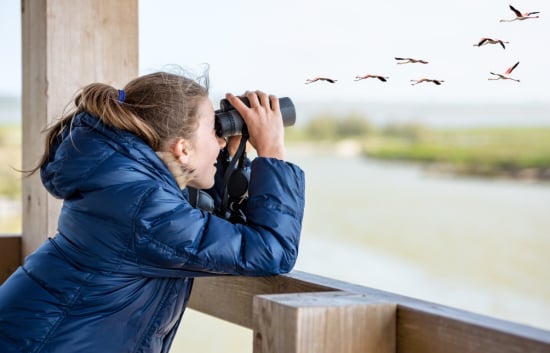 Bird Watching Bonanza: Test Your Feathered Friends Knowledge!