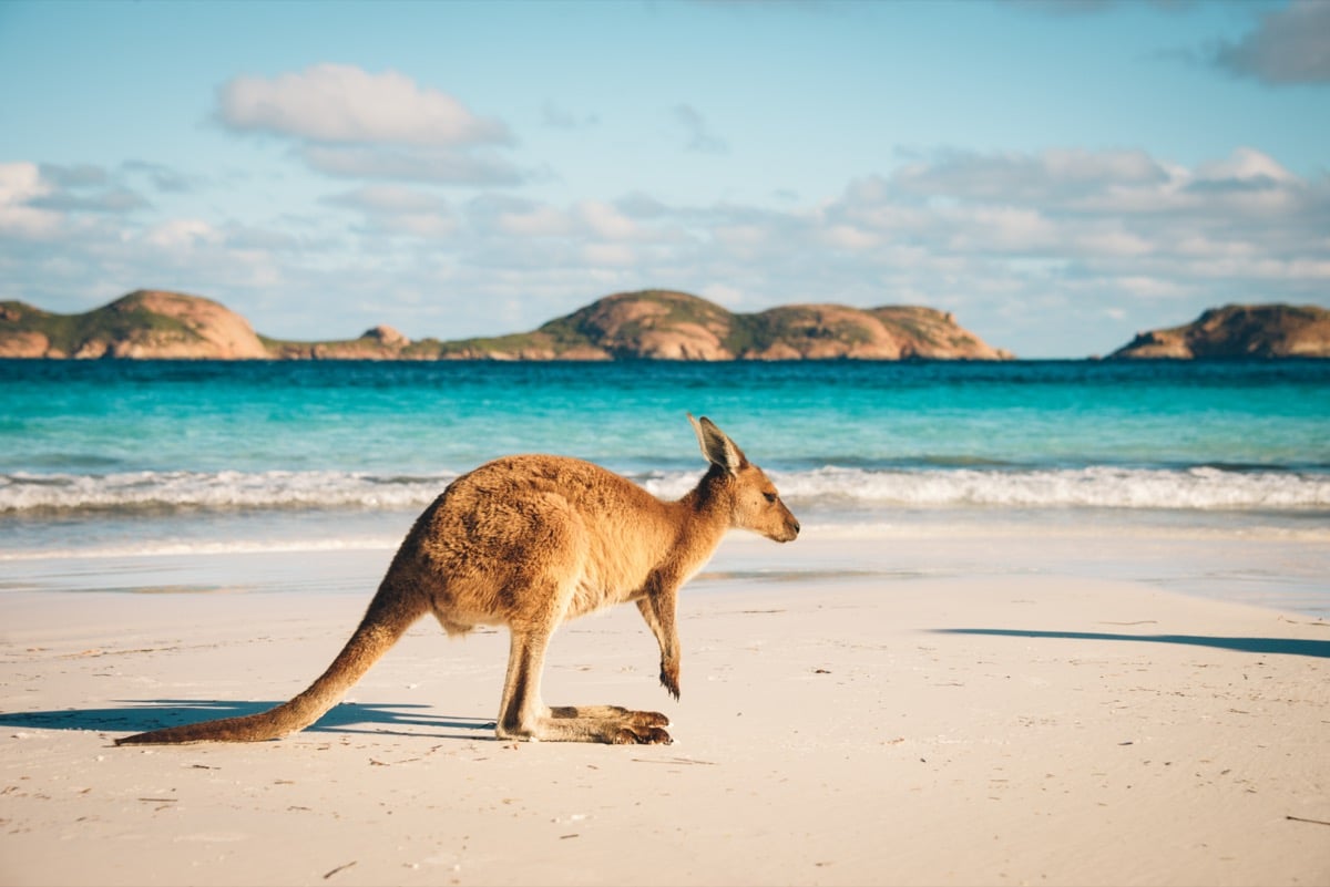 How Much Do You Know About Australia? 