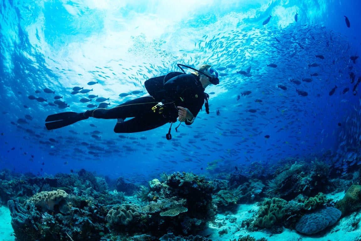 Deep Dive: An In-Depth Quiz on the World of Diving