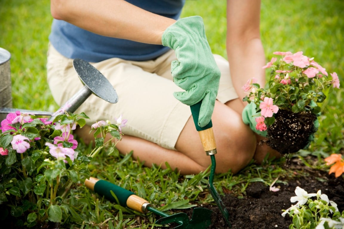 Green Thumbs Unite: A Challenging Gardening Quiz