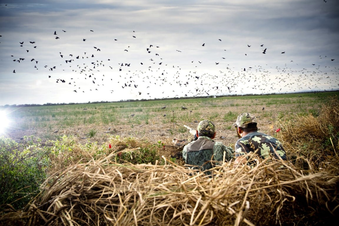 The Great Hunting Adventure: A Quiz on Wildlife Pursuit and Conservation