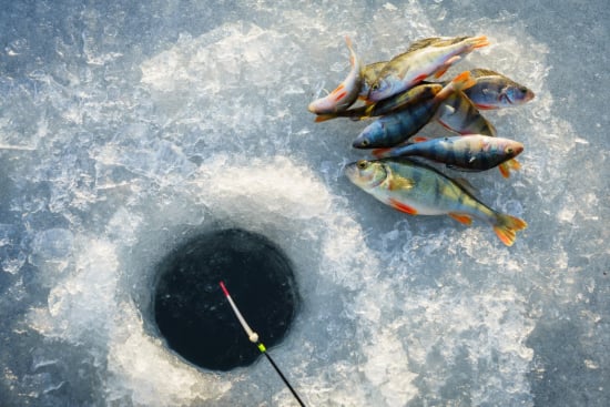 Ice Fishing Knowledge Challenge: Test Your Skills and Expertise!