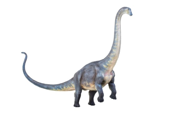 Brontosaurus Trivia Challenge: Test Your Knowledge about the Beloved Dinosaur!