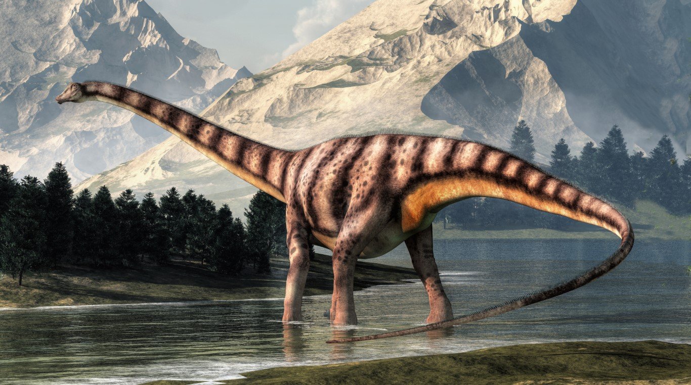 Dazzling Facts About Diplodocus: A Test of Knowledge