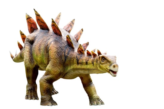 Stegosaurus Savvy: Test Your Knowledge of the Prehistoric Herbivore