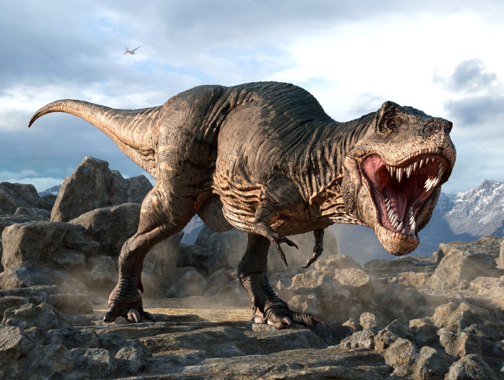 Tyrannosaurus Rex Trivia: How Much Do You Know About The King Of ...