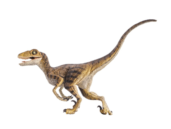Test Your Knowledge: The Velociraptor Quiz