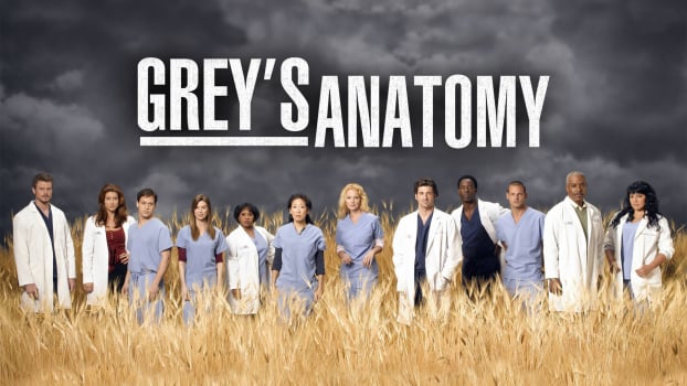How Well Do You Know The Grey's Anatomy Relationships?