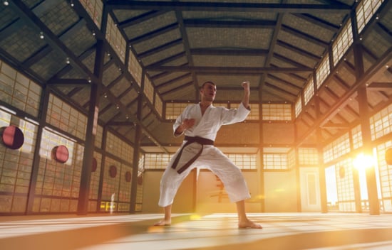 Aiki Jujutsu: Test Your Martial Arts Knowledge!