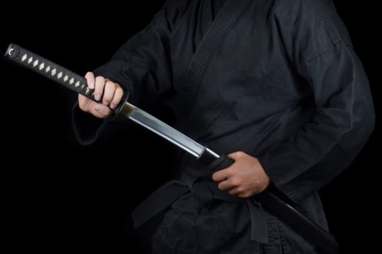 Test Your Knowledge of Bujinkan: The Japanese Martial Arts System