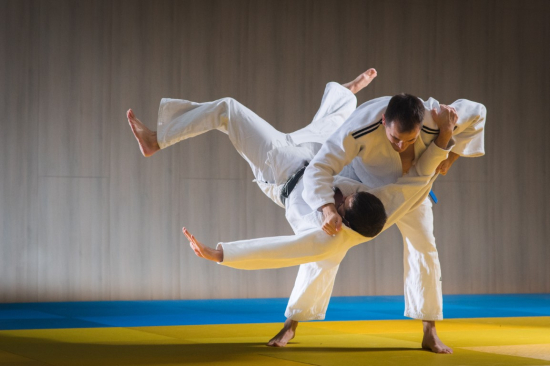 The Judo Challenge: A Test of Technique and Knowledge