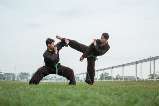 Silat: The Art of Southeast Asian Self-Defense - Quiz Challenge