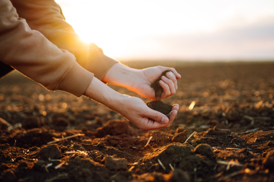 Unearthing the Secrets of Soil: A Comprehensive Quiz