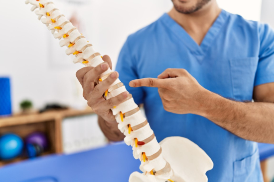 Unlocking the Backbone Mystery: A Vertebrate Quiz