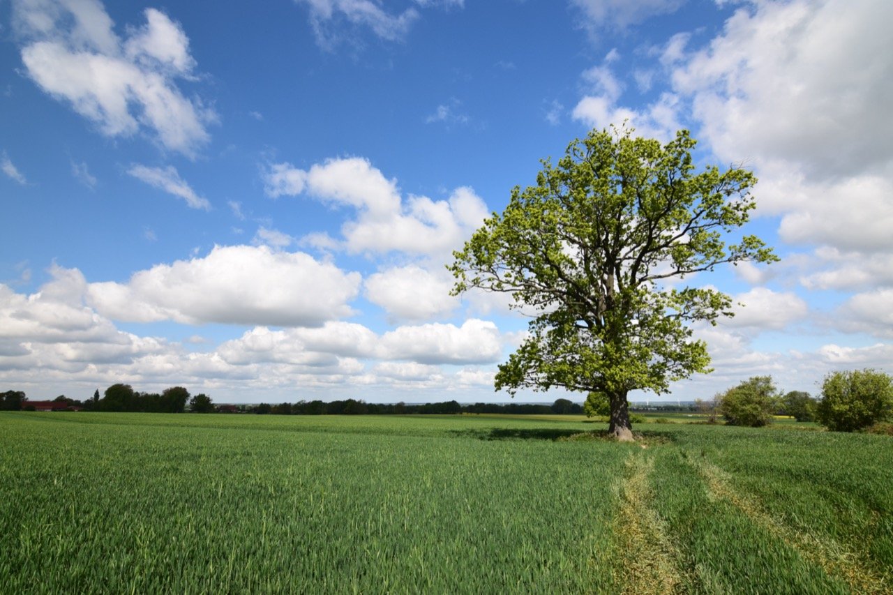 nature quiz, nature trivia