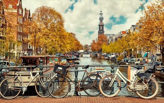 Find Out How Much You Know About the Netherlands with this Fun and Informative Quiz!