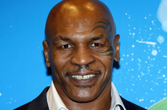 Do NOT harrass this man on a plane!  The Life of Mike Tyson