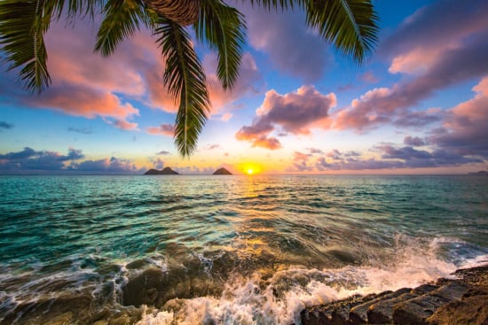 Have Some Fun in the Sun with this Hawaii Quiz!