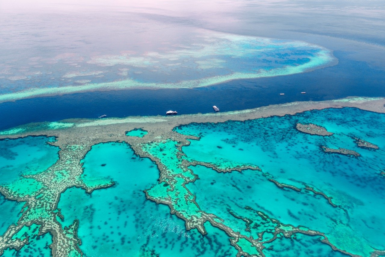 Visit the Great Barrier Reef with this Quiz