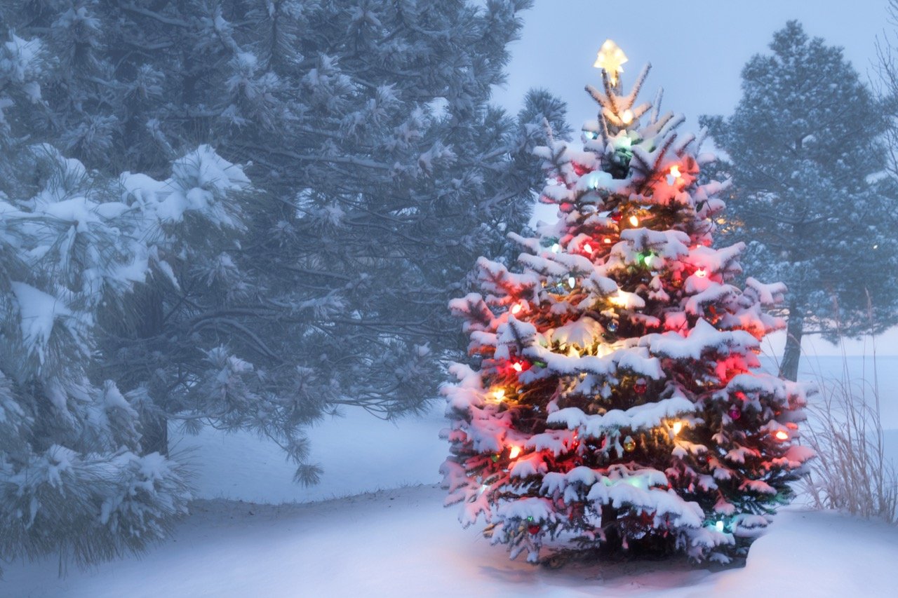 How Much Do You Know About Christmas Music?