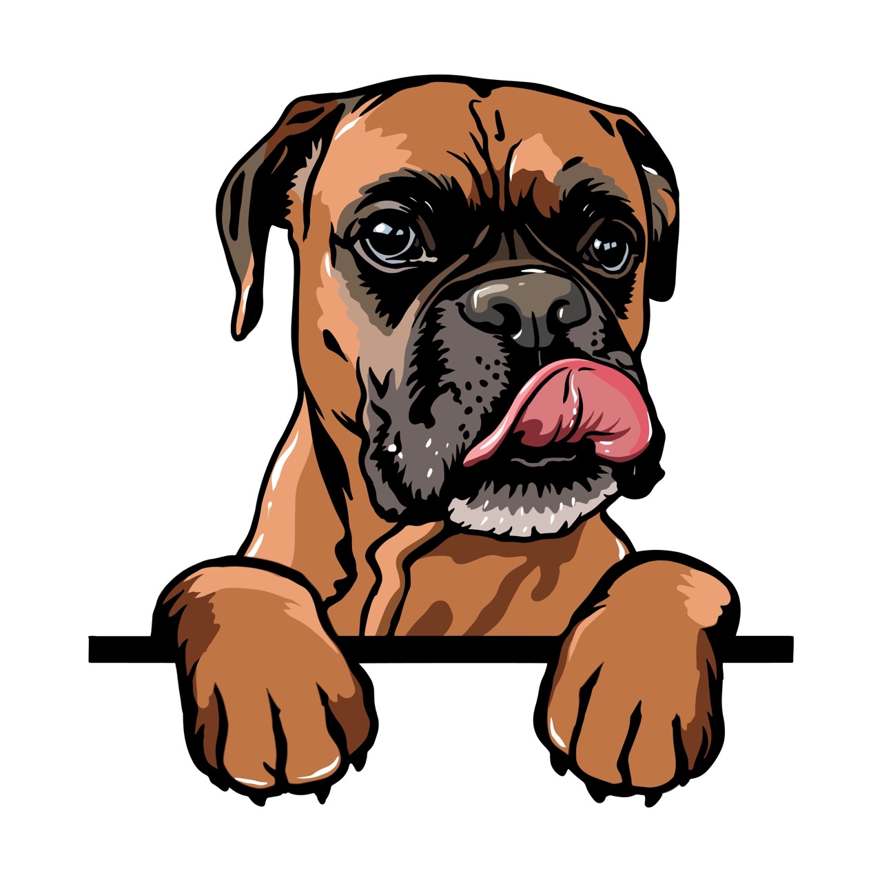 Test Your Knowledge The Ultimate Boxer Quiz Daily Animal Trivia
