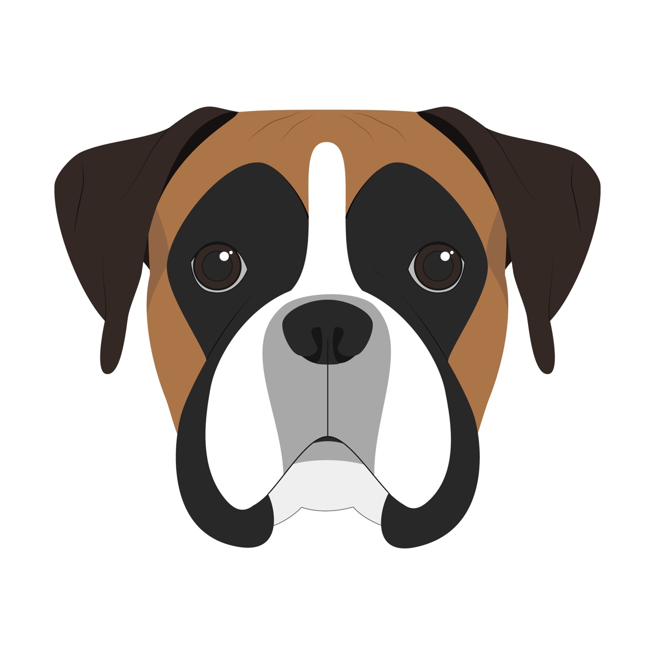 Test Your Knowledge The Ultimate Boxer Quiz Daily Animal Trivia