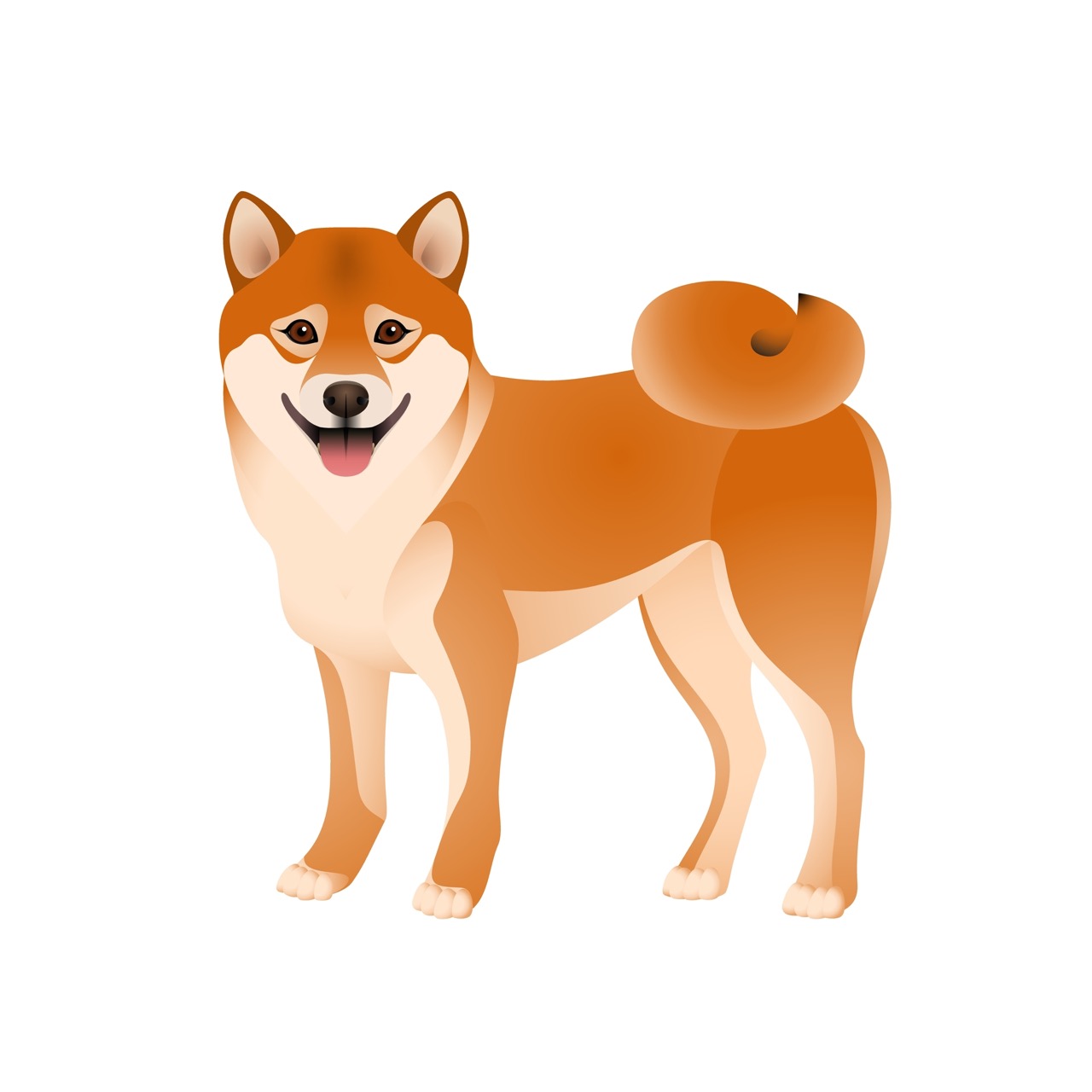 Shiba Inu Dogs Test Your Knowledge on Japan's Beloved Breed Daily