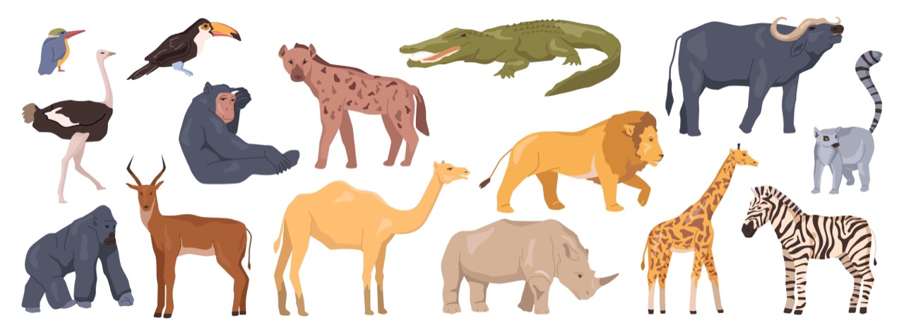 The Mighty Rhinoceros Quiz: Test your Knowledge about the World's Most Powerful Herbivore