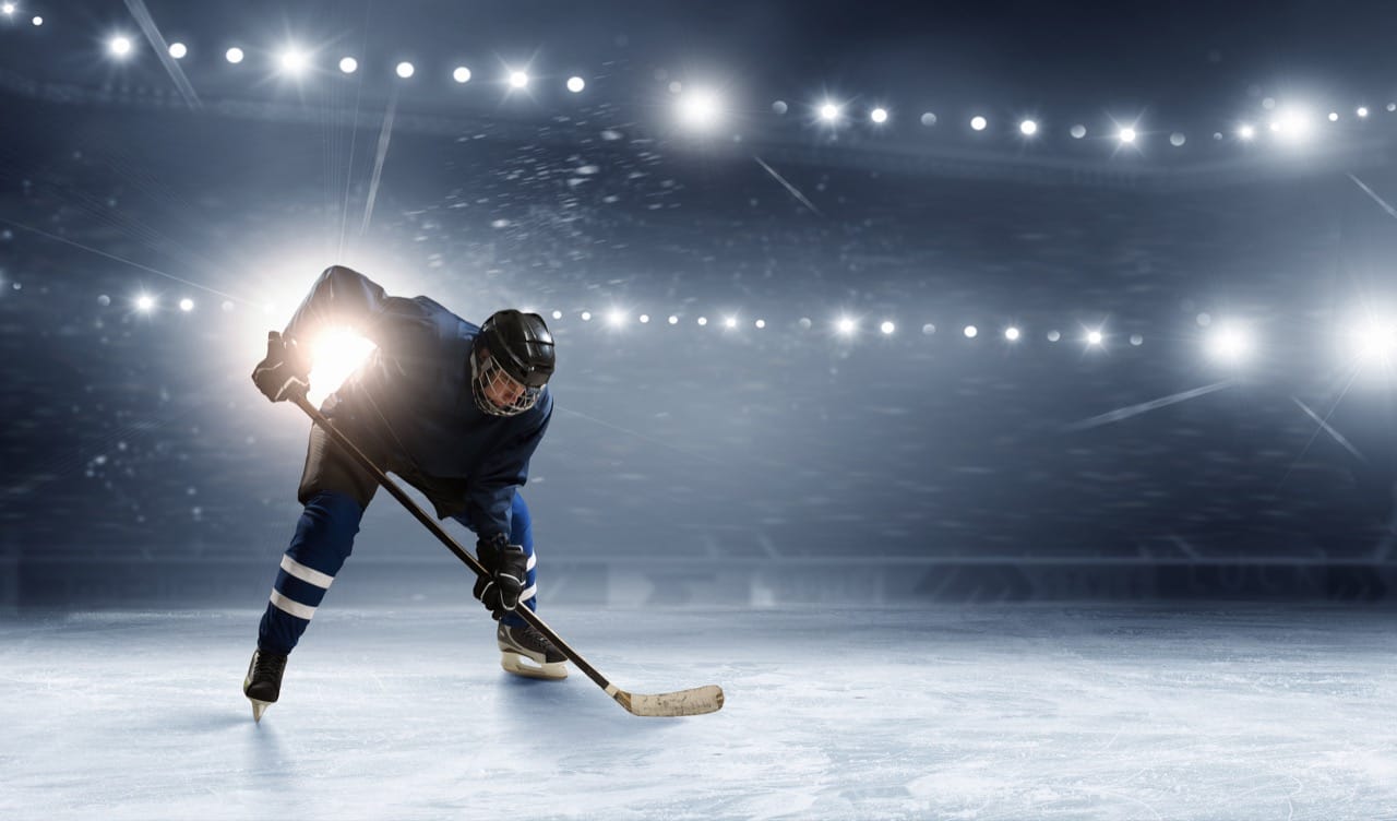 Linus & The Big Bad Bruins: NHL Regular Season Champs